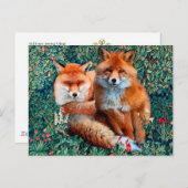 CARTE POSTALE FOXES ROUGES PARMI LA VERDURE, LE FOLIAGE ET LES F (Devant / Derrière)