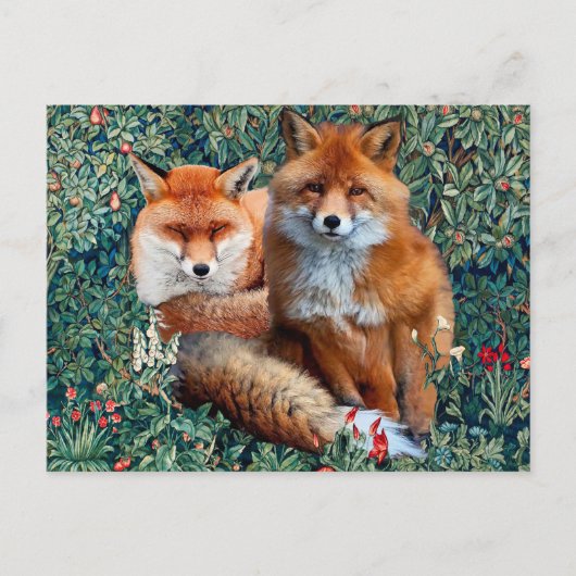 CARTE POSTALE FOXES ROUGES PARMI LA VERDURE, LE FOLIAGE ET LES F (Devant)