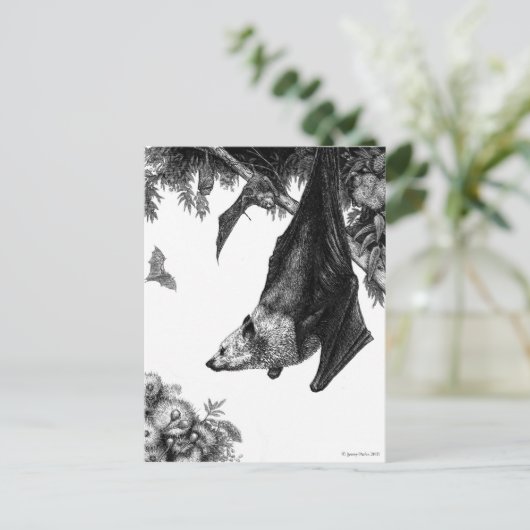 Carte postale Foxes volant (Debout devant)