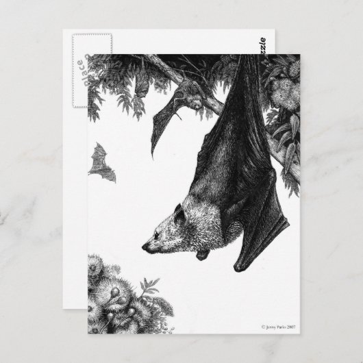 Carte postale Foxes volant (Devant / Derrière)