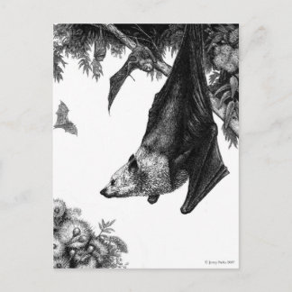 Carte postale Foxes volant