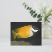 Carte Postale Foxface Rabbitfish (Debout devant)