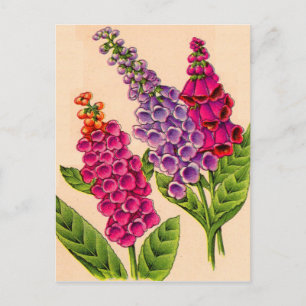 Carte Postale foxglove en rouge et violet