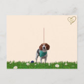 Carte postale Foxhound (Dos)