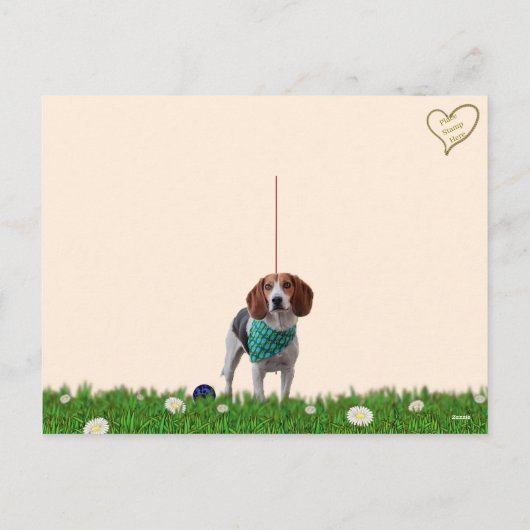 Carte postale Foxhound (Dos)