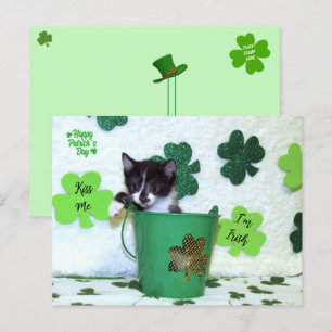 Carte Postale Foxie Cat St. Patrick's Day Card