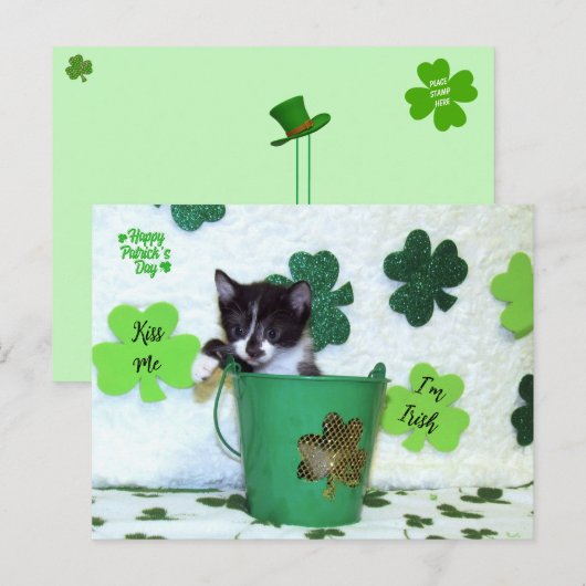 Carte Postale Foxie Cat St. Patrick's Day Card (Devant / Derrière)