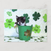 Carte Postale Foxie Cat St. Patrick's Day Card (Devant)
