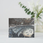 carte postale fractale des sphères miroir (Debout devant)