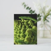 Carte Postale Fractales Romanesco Broccoli (Debout devant)
