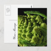 Carte Postale Fractales Romanesco Broccoli (Devant / Derrière)