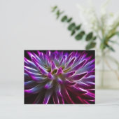 Carte Postale Fractalius Dahlia (Debout devant)