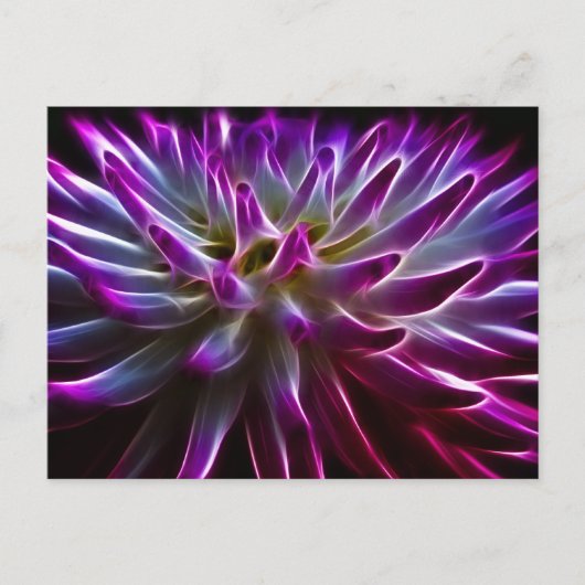 Carte Postale Fractalius Dahlia (Devant)