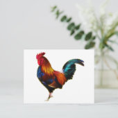 Carte Postale Fractalius Leghorn Rooster (Debout devant)