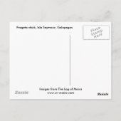Carte Postale Fragata (frégate, Isla Seymour, Galapa (Dos)