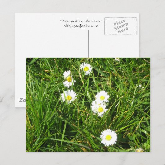 Carte Postale Fraîche (Devant / Derrière)