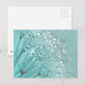 Carte Postale Fraîcheur du matin (Devant / Derrière)