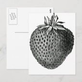 Carte Postale fraise (Devant / Derrière)