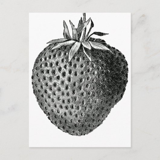 Carte Postale fraise (Devant)