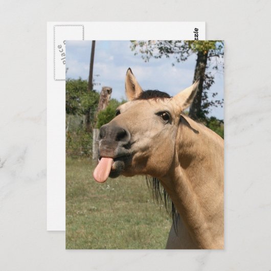 Carte Postale fraise (Devant / Derrière)