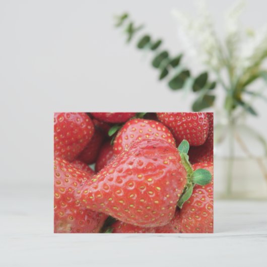 Carte Postale Fraise (Debout devant)