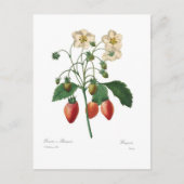 Carte Postale Fraise (Devant)