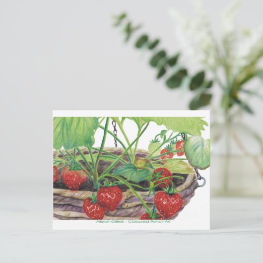 Carte Postale Fraise (Debout devant)