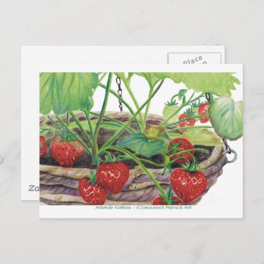 Carte Postale Fraise (Devant / Derrière)