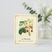 Carte Postale Fraise (Debout devant)