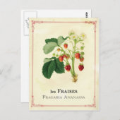 Carte Postale Fraise (Devant / Derrière)