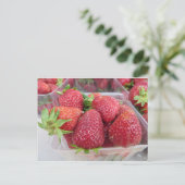 Carte Postale Fraises (Debout devant)