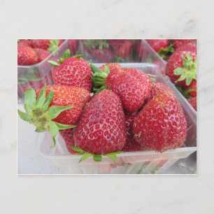 Carte Postale Fraises