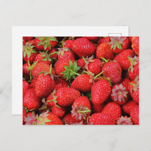 Carte Postale Fraises (Devant / Derrière)