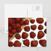 Carte Postale Fraises (Devant / Derrière)
