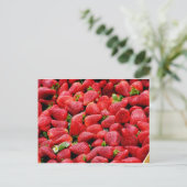 Carte Postale Fraises (Debout devant)