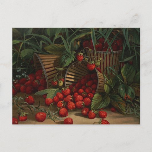 Carte Postale Fraises (Devant)
