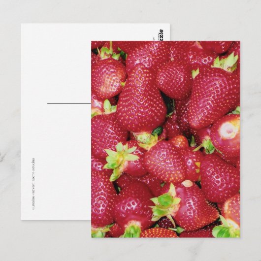 Carte Postale Fraises (Devant / Derrière)
