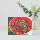 Carte Postale Fraises (Debout devant)
