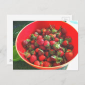 Carte Postale Fraises (Devant / Derrière)