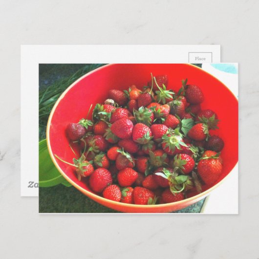 Carte Postale Fraises (Devant / Derrière)