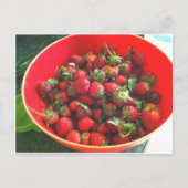 Carte Postale Fraises (Devant)