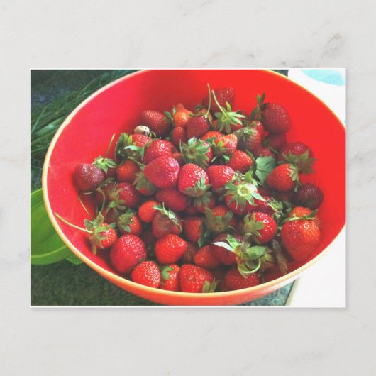 Carte Postale Fraises (Devant)