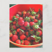 Carte Postale Fraises (Devant)