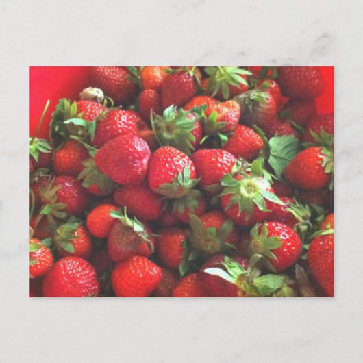 Carte Postale Fraises | baies rouges fraîches (Devant)