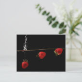 Carte Postale Fraises dans l'eau (Debout devant)
