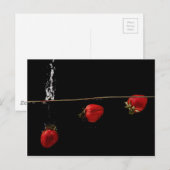 Carte Postale Fraises dans l'eau (Devant / Derrière)