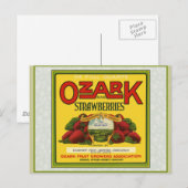 Carte Postale Fraises d'Ozark (Devant / Derrière)