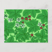 Carte Postale Fraises et Feuilles Art Nouveau, Lime Green (Devant)