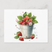Carte Postale Fraises fraîchement cueillies dans un seau (Devant)