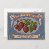 Carte Postale Fraises fraîches (Devant / Derrière)